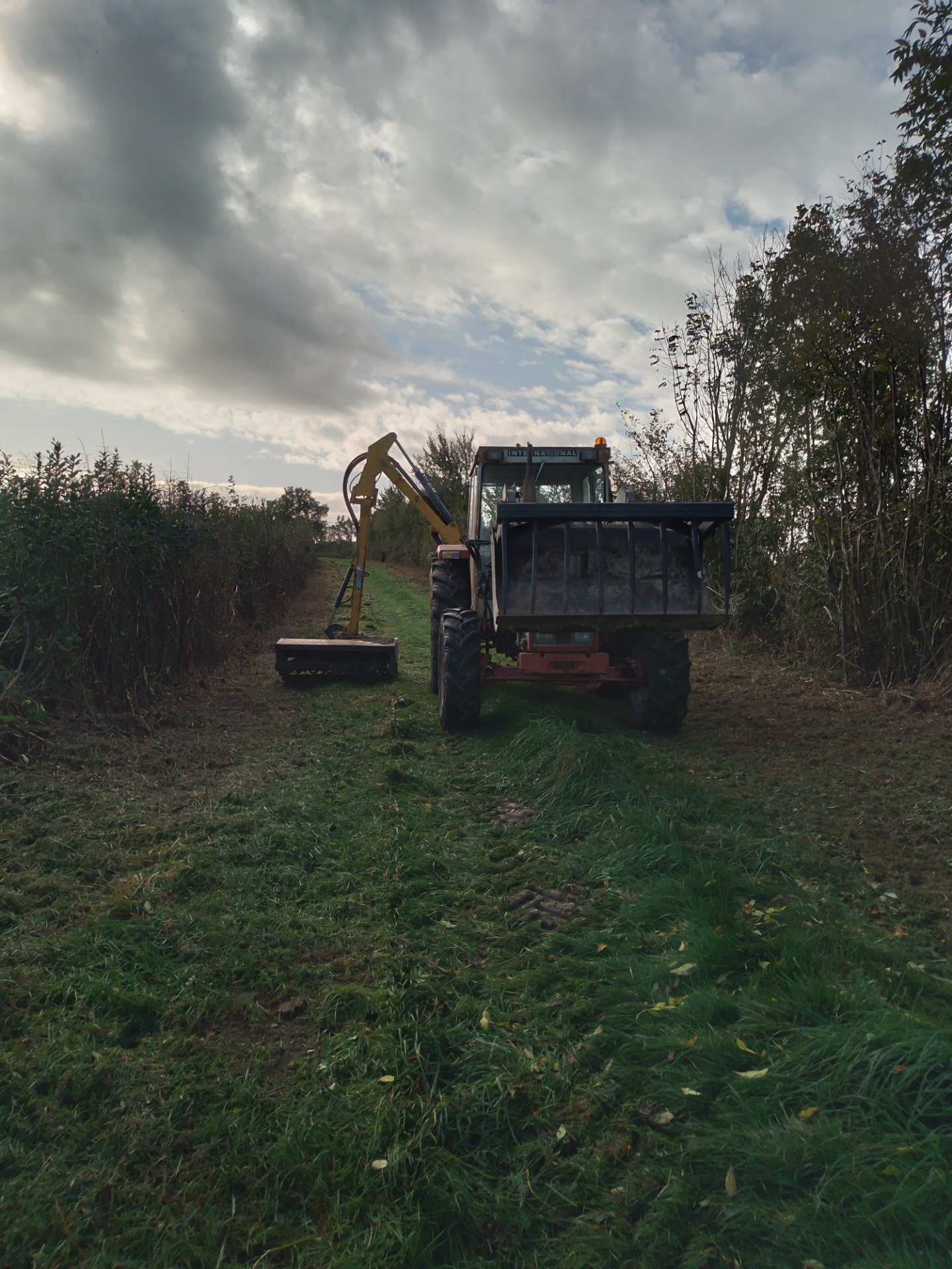 Tracteur et Épareuse