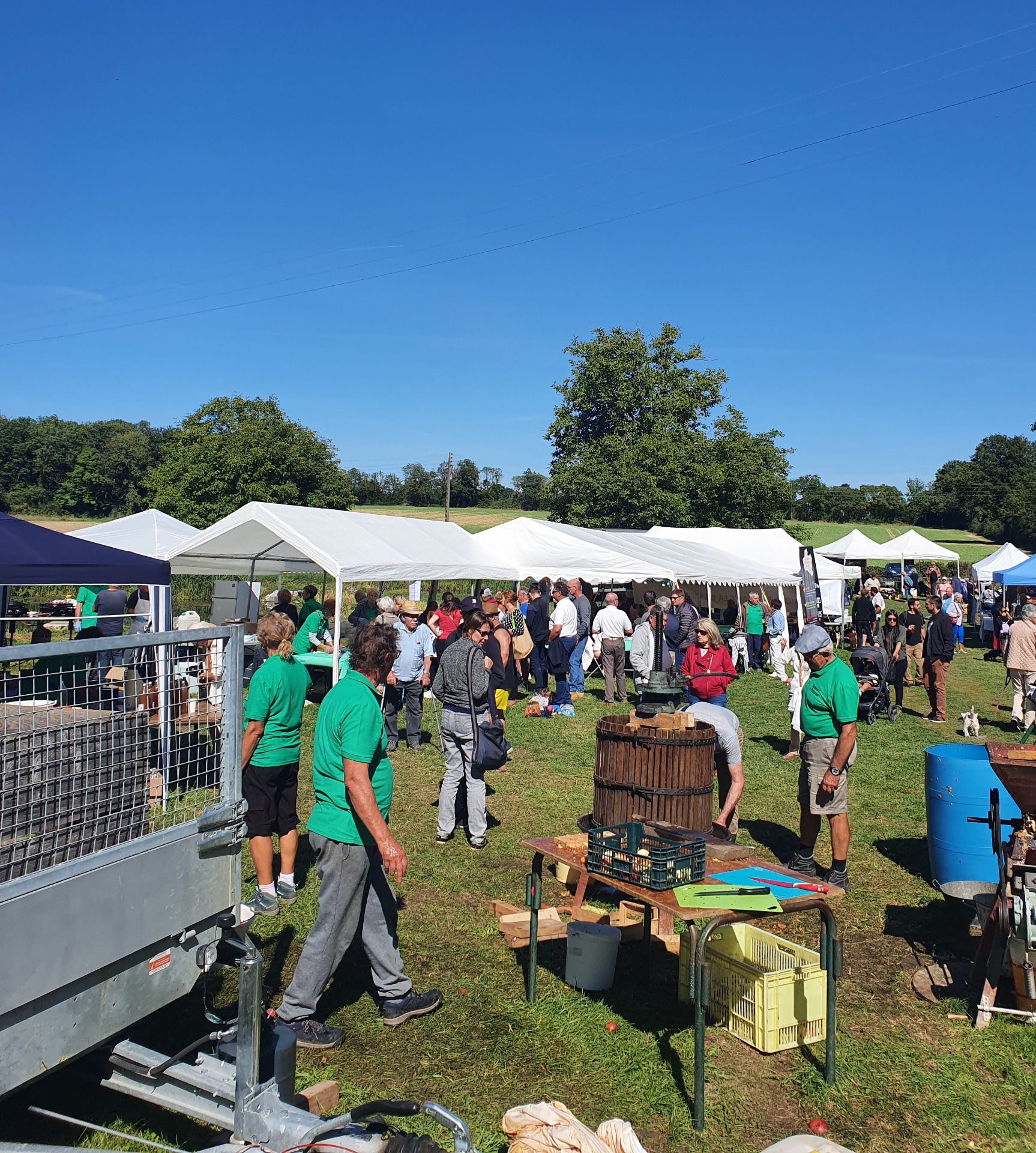 Fête de la pomme 🍎 